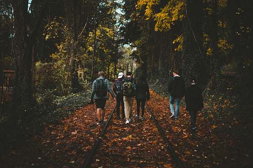 people six person walking on train rail surrounded by tall trees at daytime person