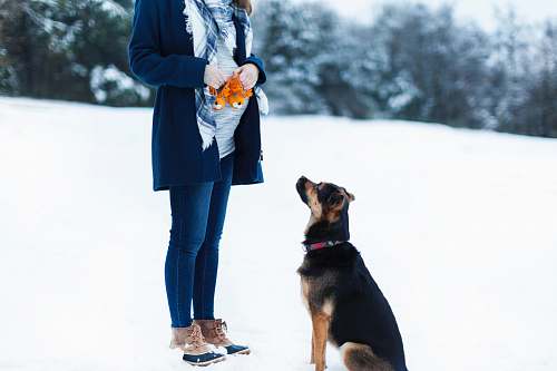 person woman standing beside black dog on snow field people
