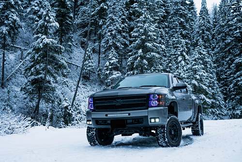 vehicle gray pickup truck on snow field surrounded by trees automobile