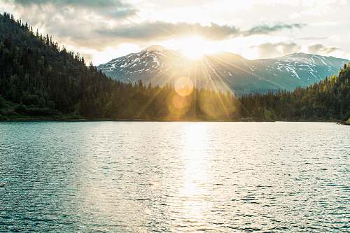 outdoors body of water near trees at daytime water