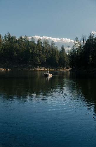 water white boat near trees outdoors