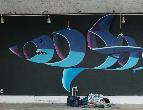 graffiti  shark