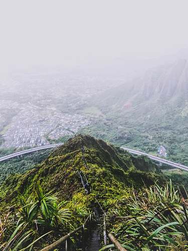nature cliff covered with green vegetation overlooking village surrounded by mountain range at daytime o‘ahu