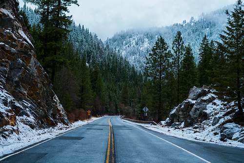 road gray road pavement in between mountain and trees mccall