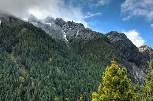 nature green and gray mountain under blue sky at daytime forest