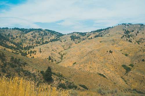 boise green trees over valley of mountains nature