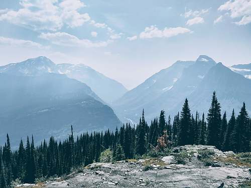 nature mountains in front of pine trees during daytime outdoors