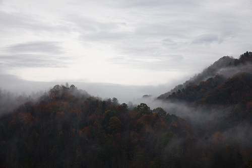 fog photography of white sky blowing rock