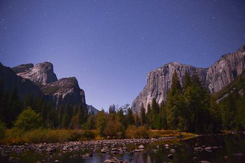 nature pine trees beside lake yosemite valley