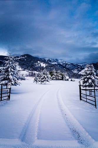 snow snow path with pine tress under blue sky during daytime alps
