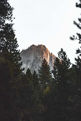 crest trees near mountain taken under white clouds mountain range