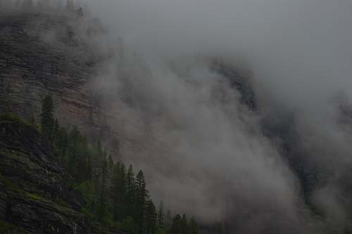 grey  weather
