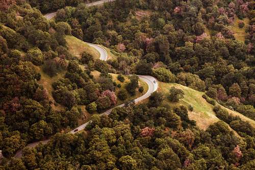 california aerial photography of concrete road in forest forest