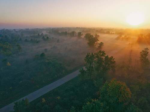 sunrise aerial photography of concrete road near trees at daytime sunset