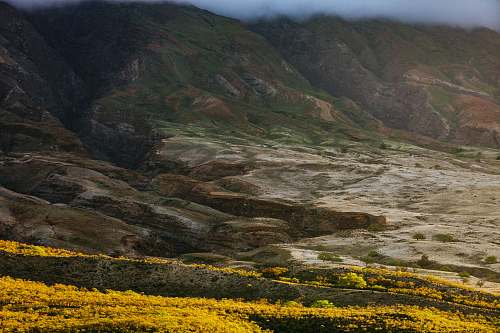 mountain aerial view of yellow fields maui