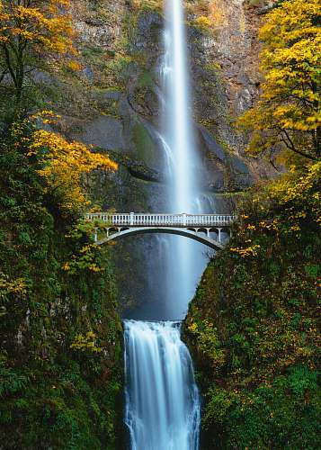 waterfall bridge in between trees multnomah falls