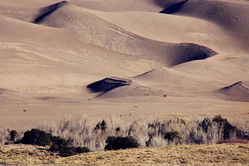 outdoors brown sand at daytime soil