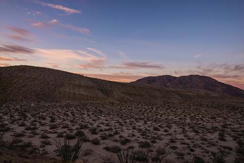 outdoors desert with green grasses desert