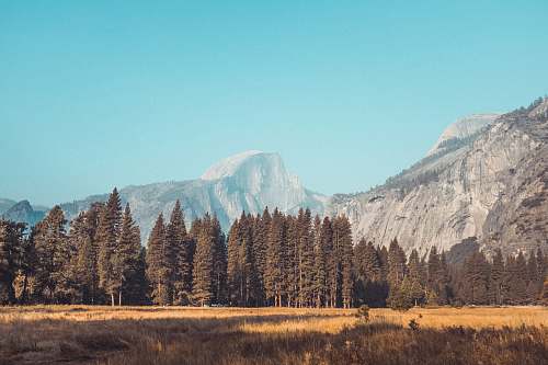 mountain forest and mountain range during daytime peak