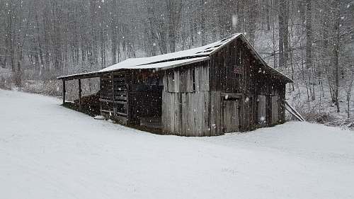 outdoors gray shed coated with snow shack