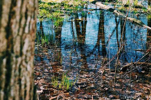 outdoors green grass near body of water during daytime land