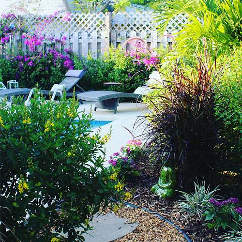 outdoors green outdoor plant yard