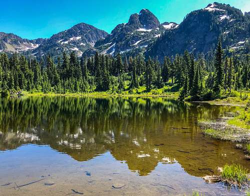 mountain green tall trees near body of water alps