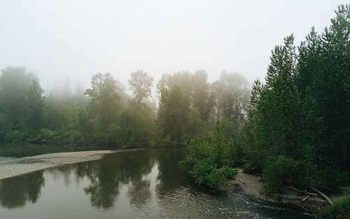 outdoors green trees beside river during daytime weather