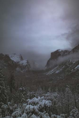 mountain green trees covered by snow near mountain alps
