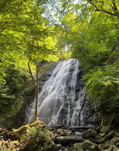 outdoors green trees near waterfalls during daytime river