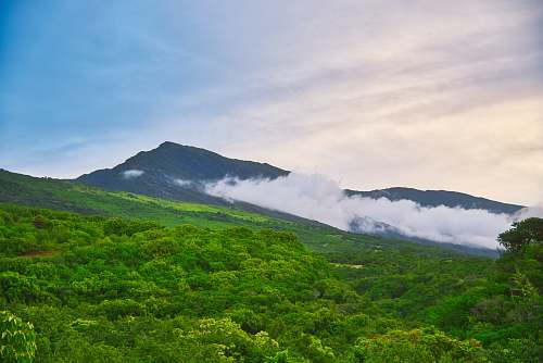 outdoors green trees mountain