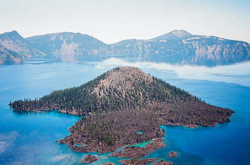 animal island during daytime ocean