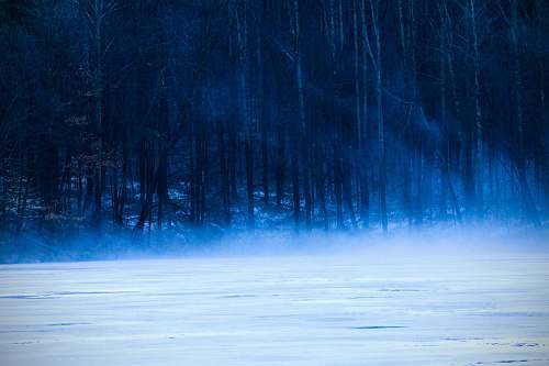 blue landscape photography of bare trees mogadore reservoir