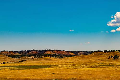 outdoors landscape photography of farm road field