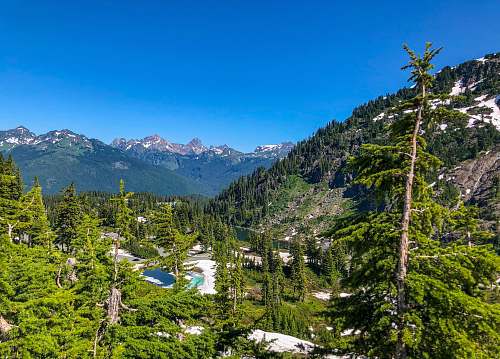 seattle landscape photography of trees and mountains mountain
