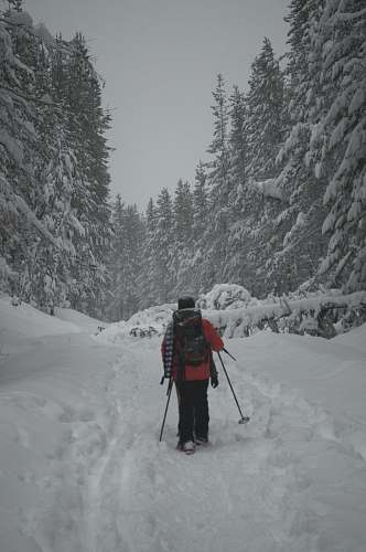 human person walking in forest covered with snow person