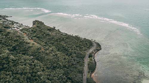 landscape road, forest, and body of water during day outdoors