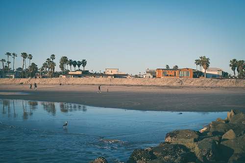 shoreline seashore sea
