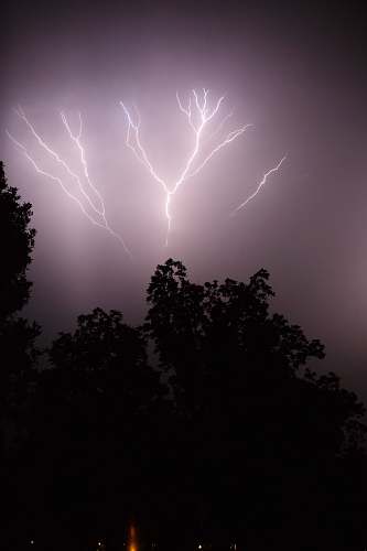 outdoors silhouette of trees under thunder lightning storm