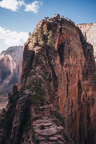 canyon trees on cliff mountain