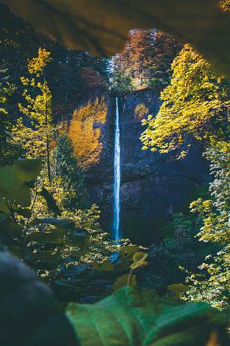 outdoors waterfalls surrounded with trees latourell falls