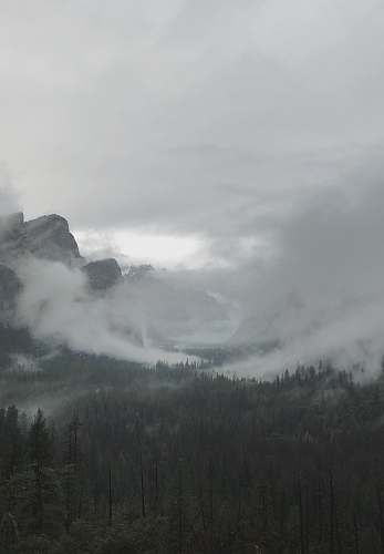 grey white fog on mountain weather
