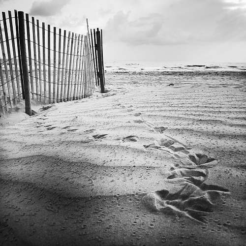black-and-white white wooden beach fence grey