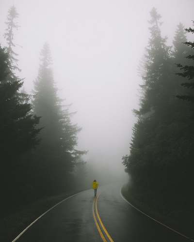 grey woman wearing yellow jacket standing on road surrounded by pine trees fog