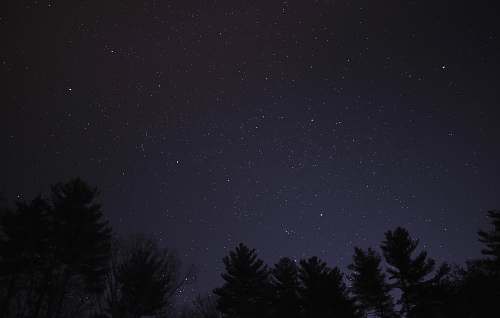 astronomy high angle photography of trees during night time space