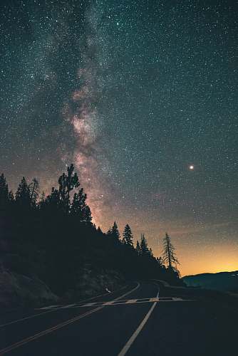 astronomy trees under starry night galaxy
