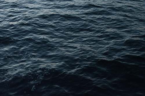 water birds eye view of body of water san francisco