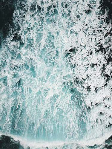 nature closeup photography of crashing seashore sea