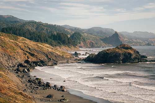 coast island covered in tree near sea promontory