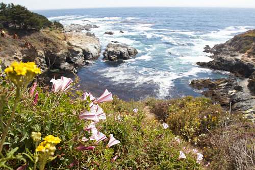 flower top view of rock formations and ocean coast